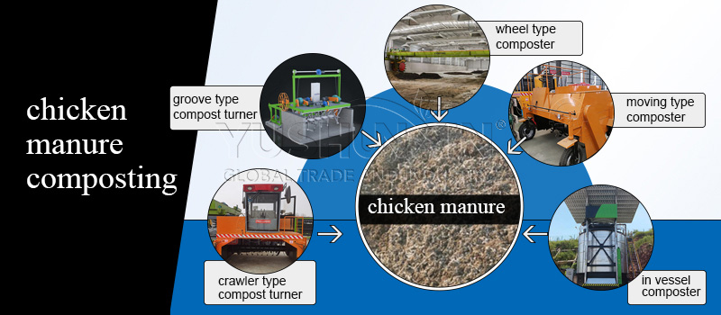 chicken manure composting